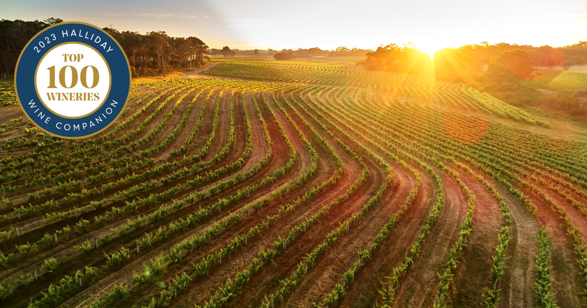 Halliday Wine Companion Top 100 Wineries 2023 selected by Campbell Mattinson 2650