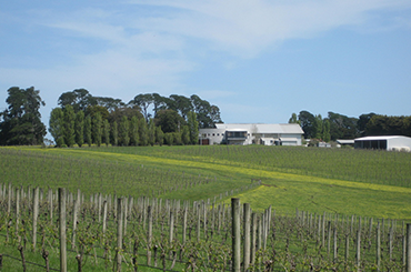 Crawford River Wines