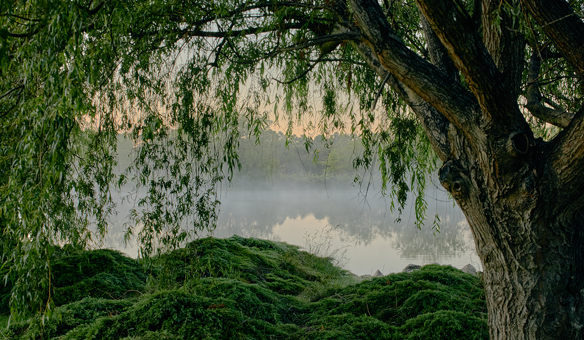 Handpicked Wines Capella vineyard