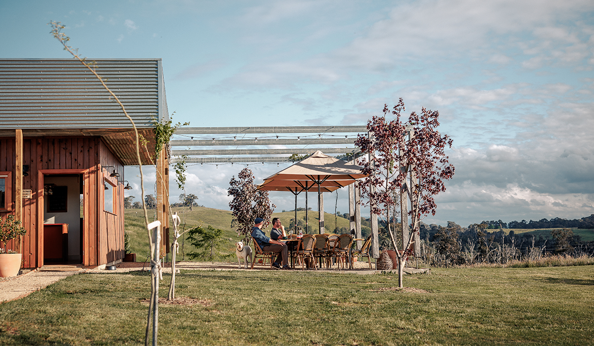 Willem Kurt cellar door