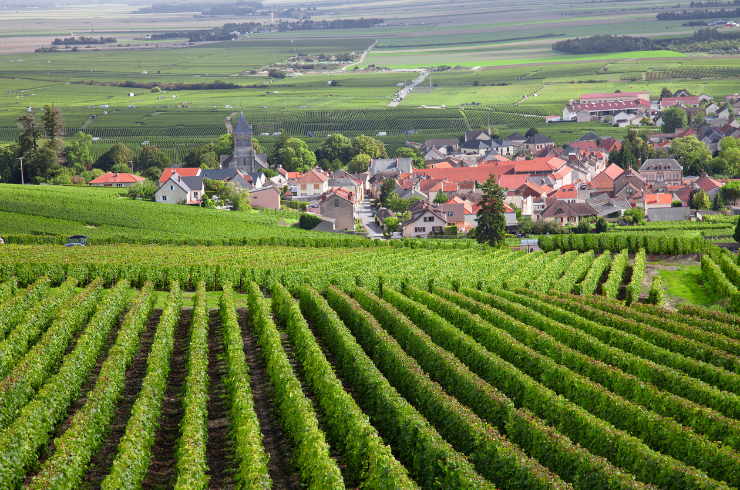 Halliday-Wine-Immersion-Tour-Part-One-Europe-740x490