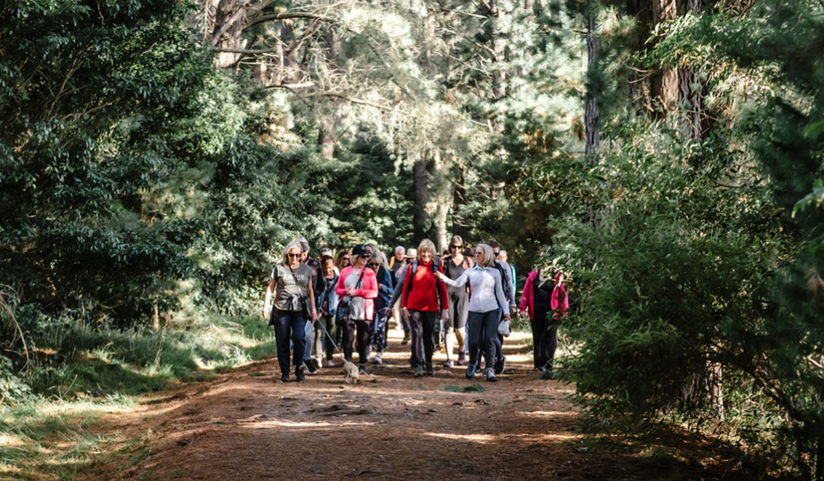 Group of people walking with trees around them