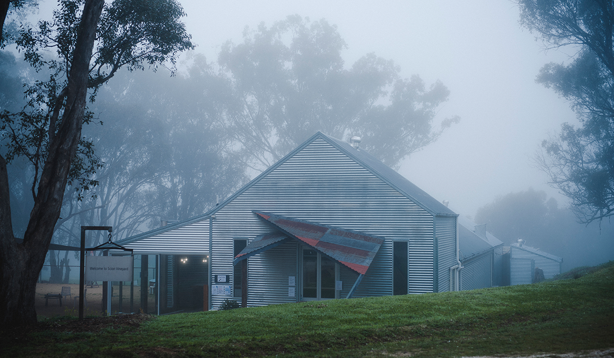 Scion cellar door in the fog