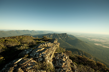 Top of Mount William