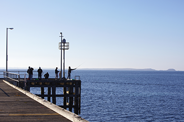People fishing on the pier