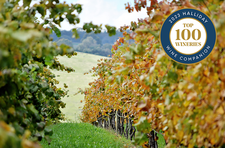 Vines in vineyard with a Top 100 roundel on top