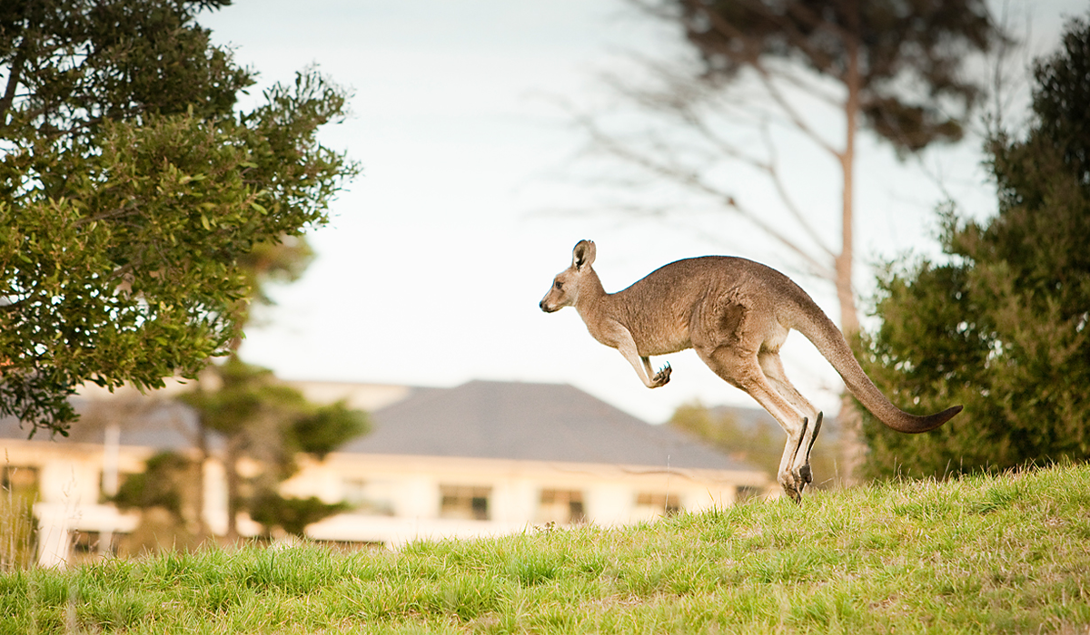 Halliday Yarra Valley Golf Retreat