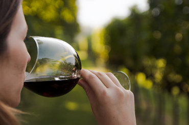The side of a woman's face drinking wine overlooking a vineyard