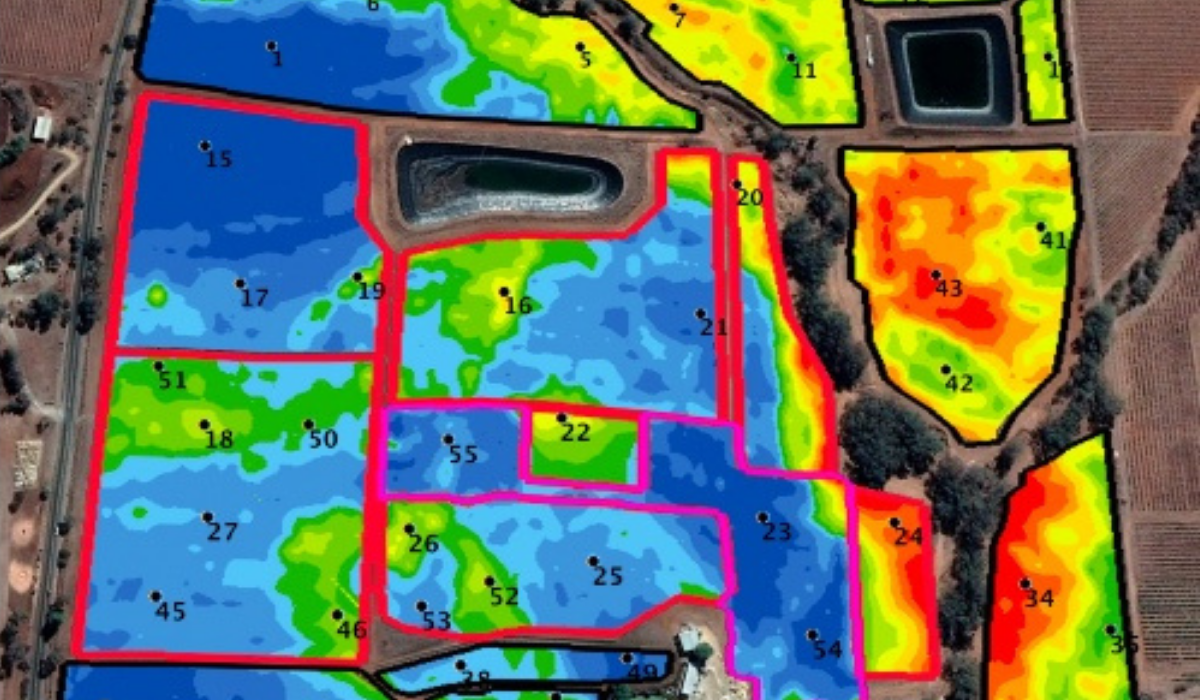 An interactive heat map shows vineyard terroir