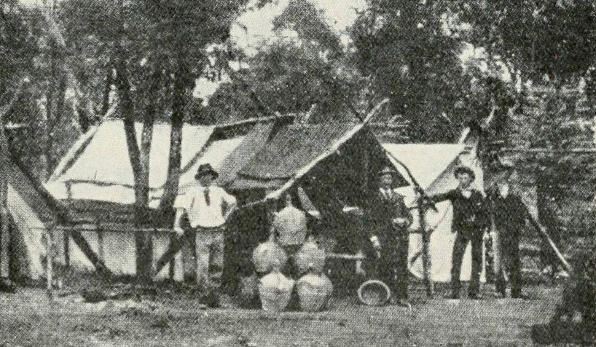 alcohol being distilled back in early days of British settlement in Australia