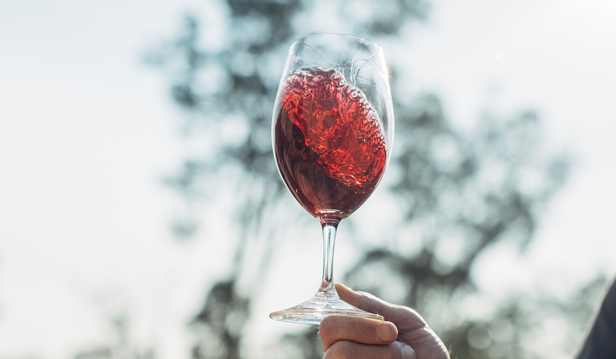 A glass of red wine being held up