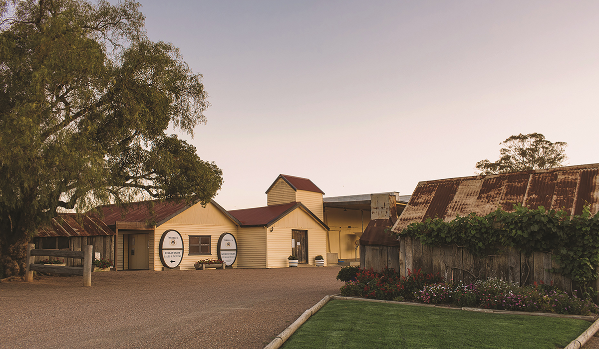 The Tyrrell's cellar door