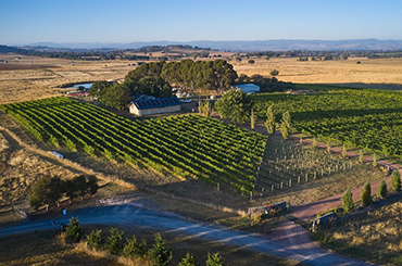 An aerial view of Canberra District vines by Bryan Martin at Ravensworth