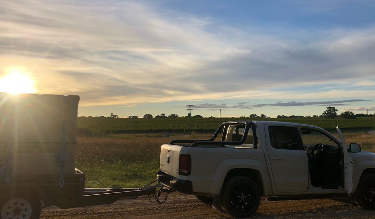 A ute with a trailer full of fruit from the vineyard