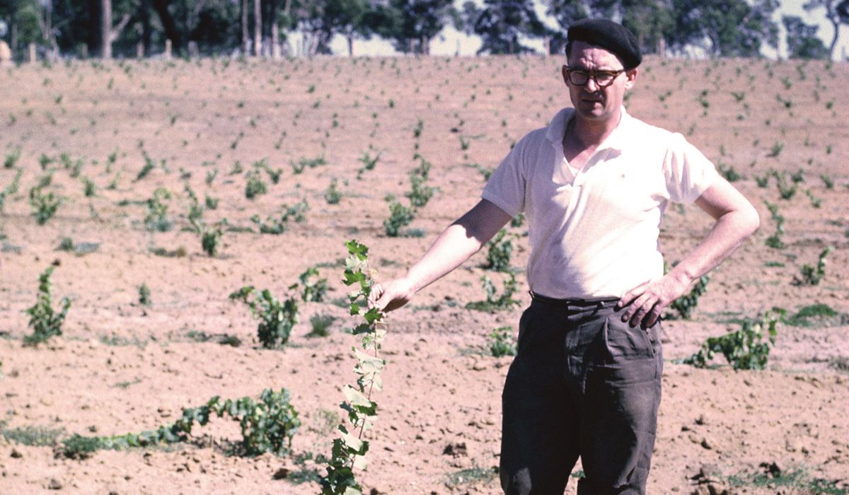 Tom Cullity and the original plantings