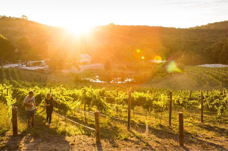 Deviation Road winery