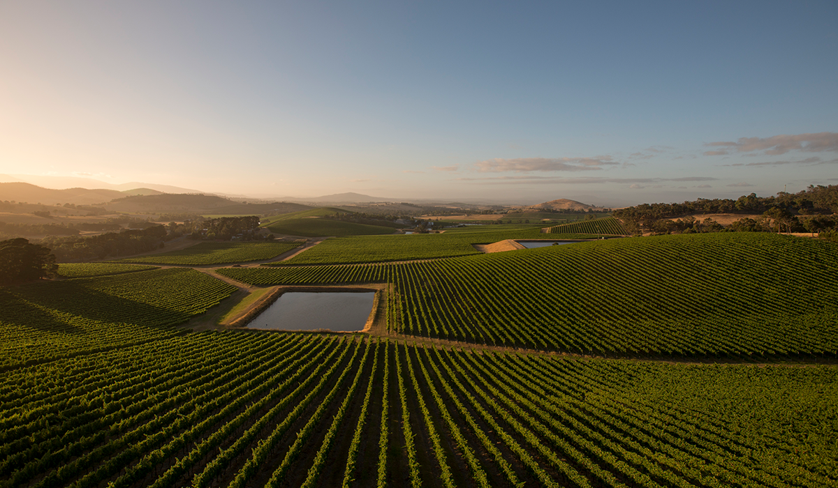 De Bortoli in the Yarra Valley