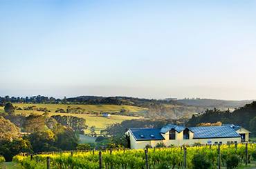Eldridge Estate on the Mornington Peninsula