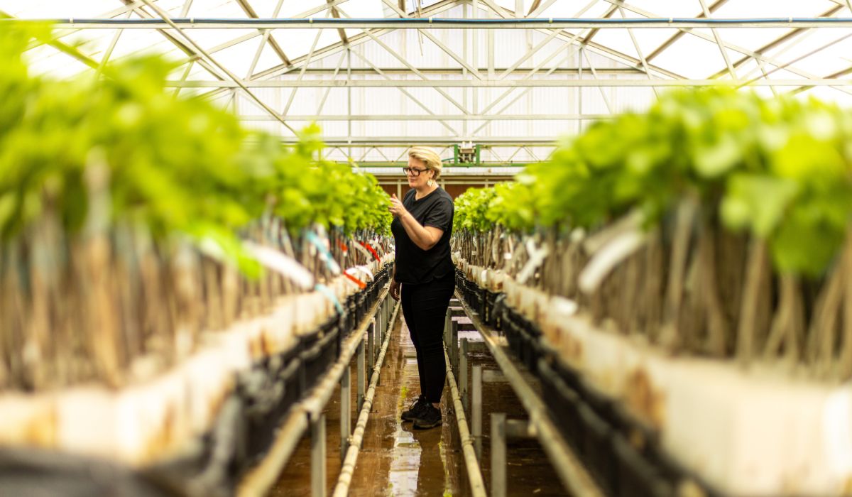Kim Chalmers in the Chalmers nursery