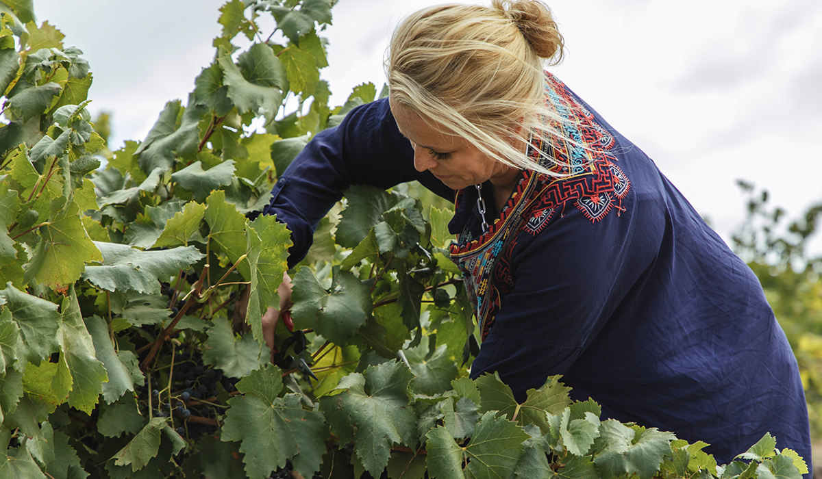 Corrina Wright in the vineyard