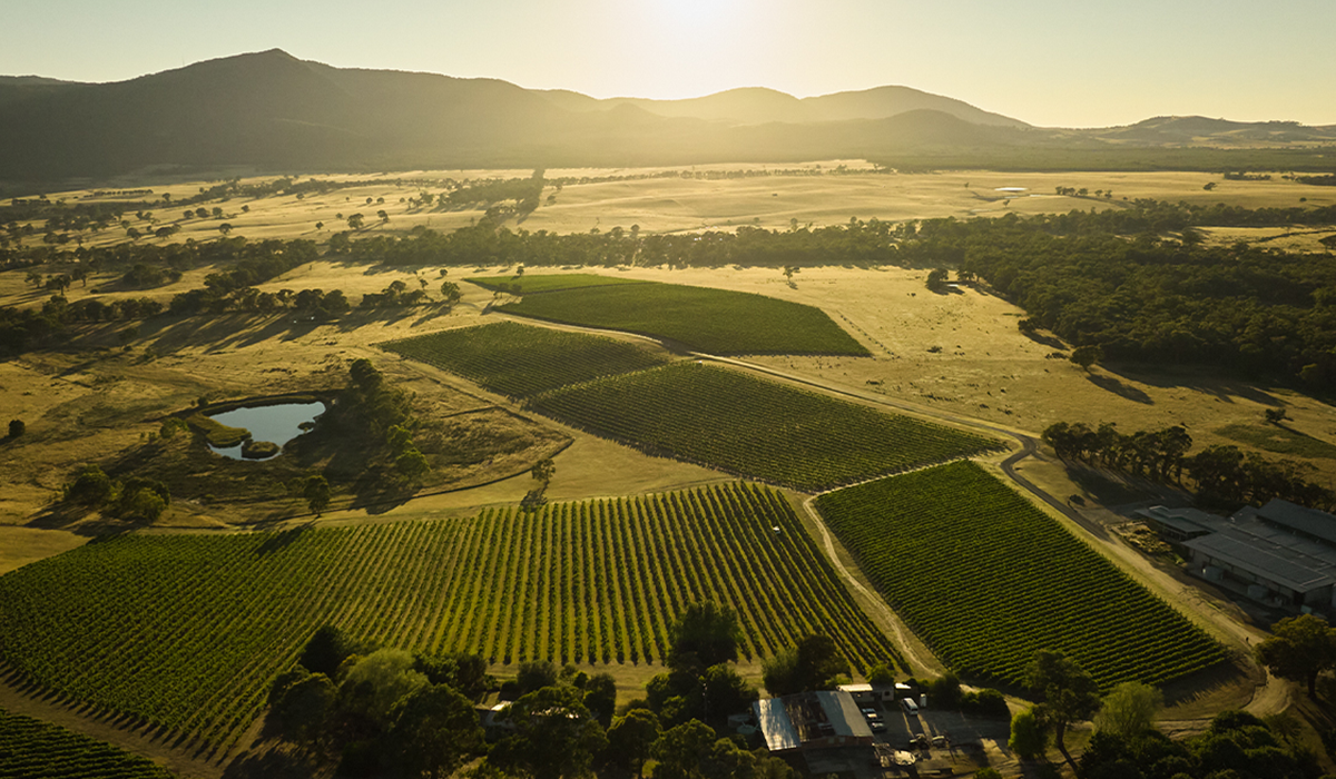 Mount Langi Ghiran vineyards