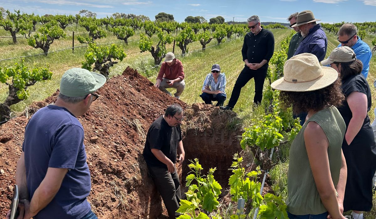 Wine industry gather around terroir consultant Pedro Parra in a vineyard in the Barossa