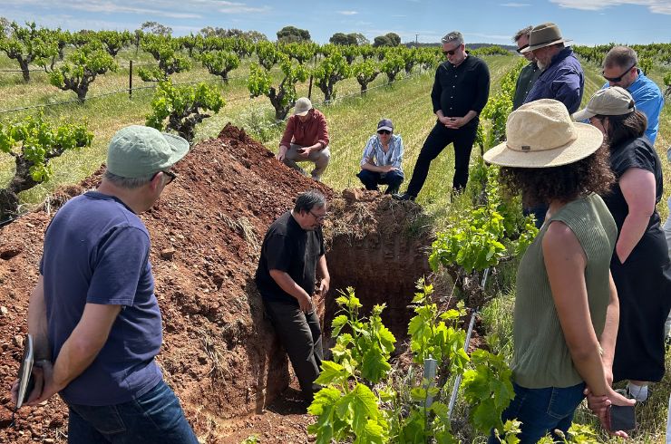 Wine industry gather around terroir consultant Pedro Parra in a vineyard in the Barossa