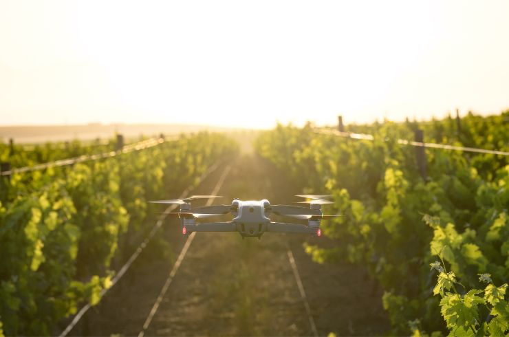 Drone flying above a vineyard