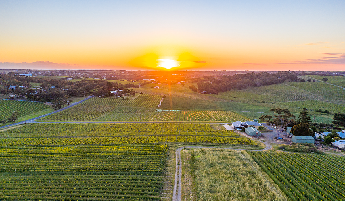 Bondar Wines