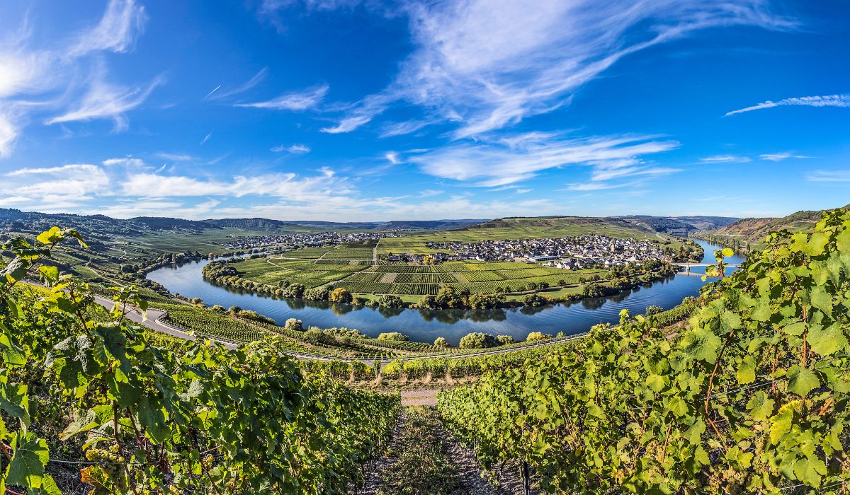 The Mosel in Germany