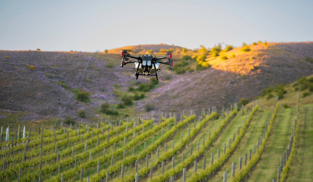 Drone over vineyard, Felton Road