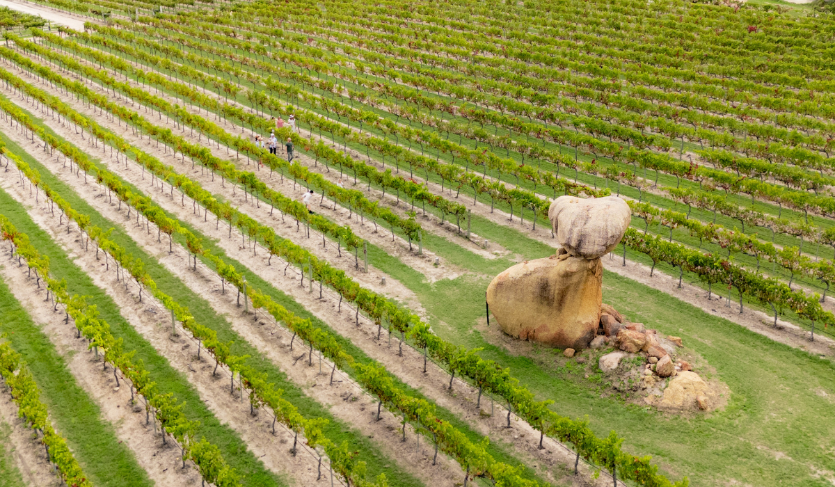 Granite Belt wine