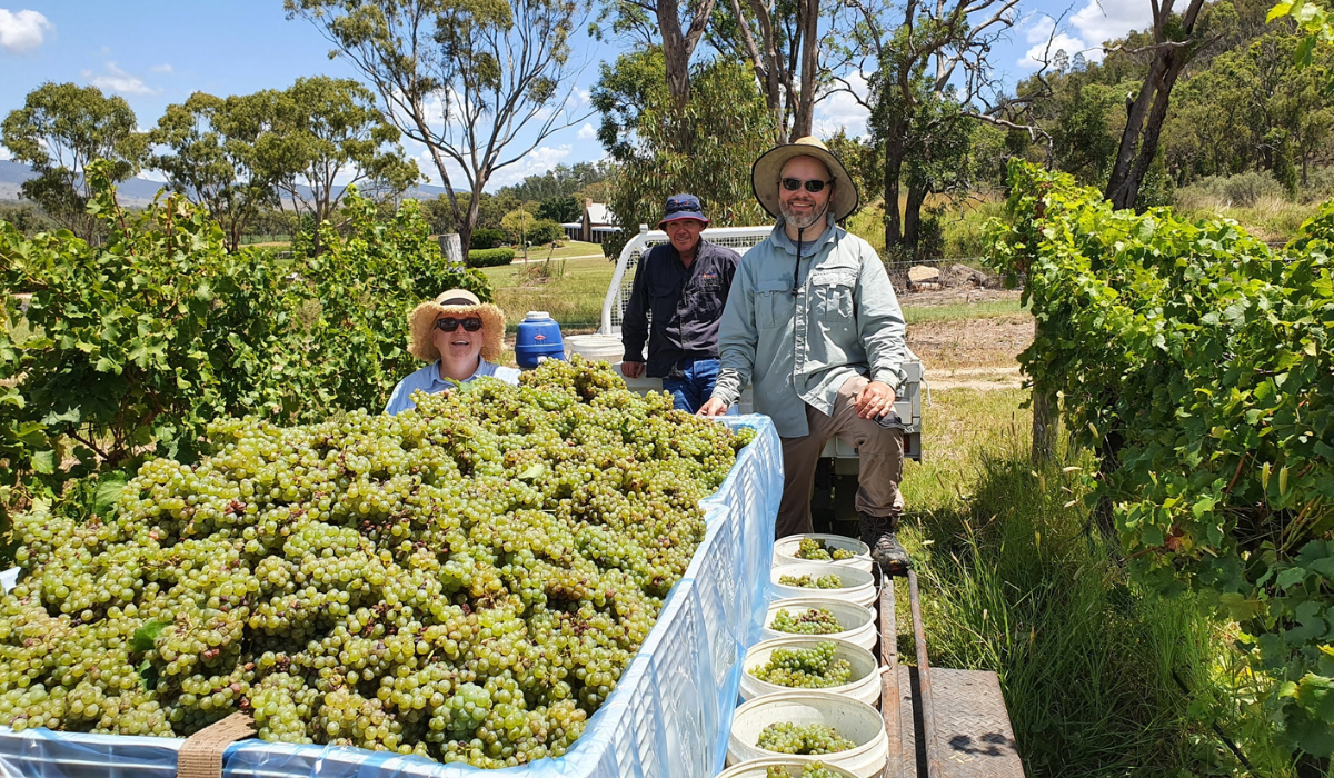 Granite Belt wine