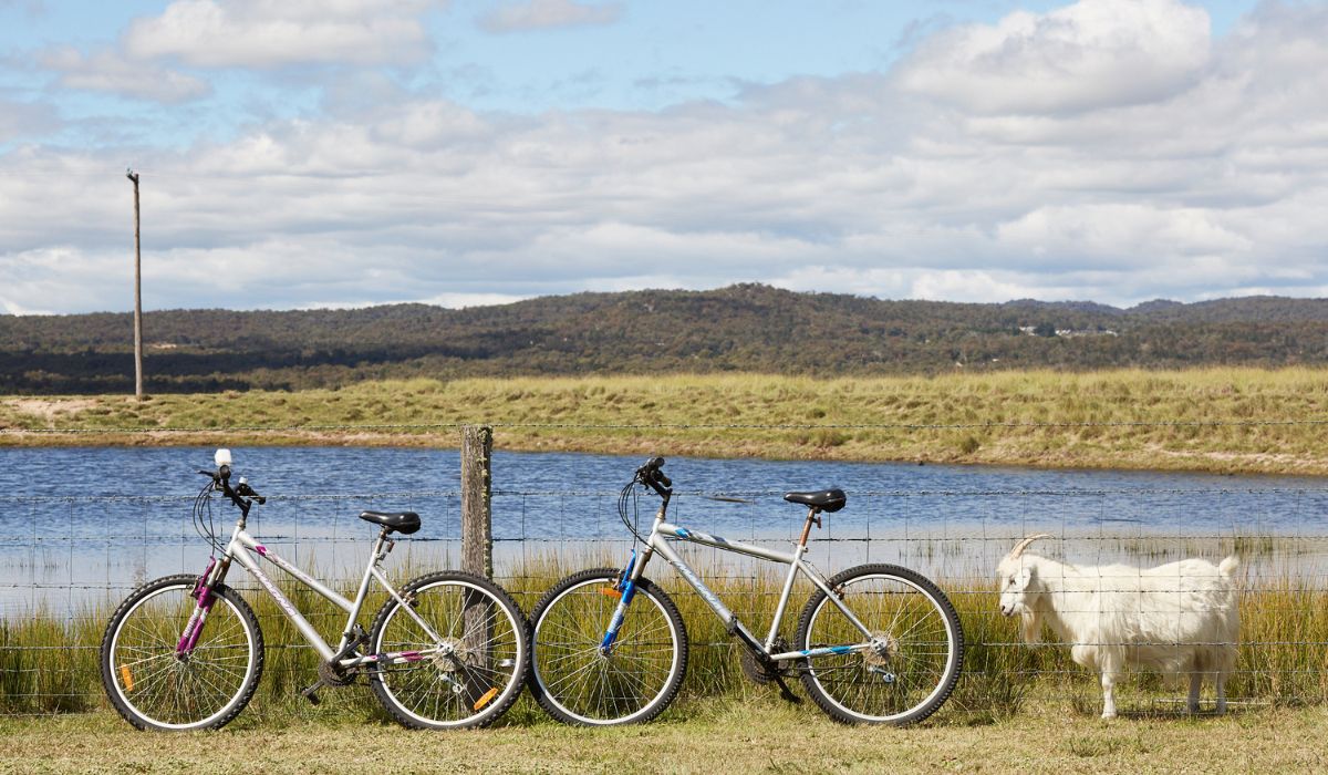 bikes and a goat outside Ridgemill Estate in the Grantite Belt.