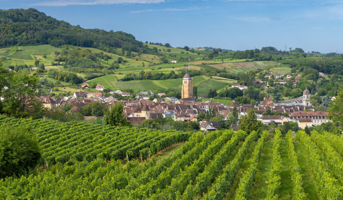 Jura wine region, France