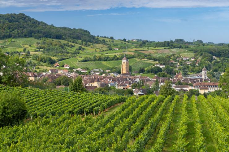 Jura wine region, France