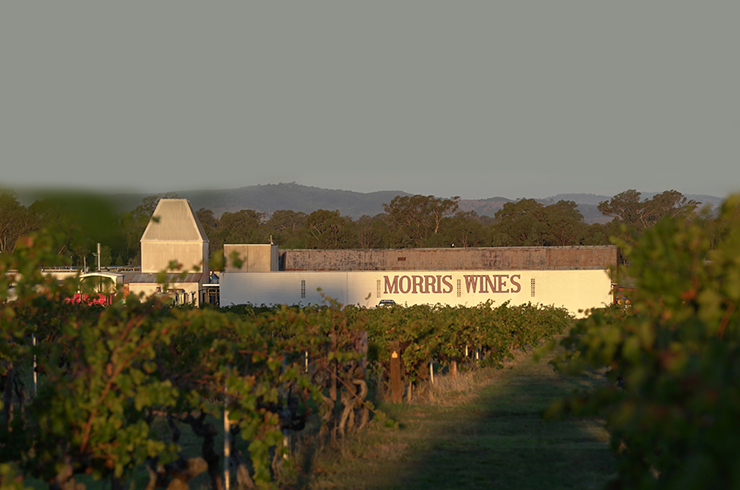 Morris winery
