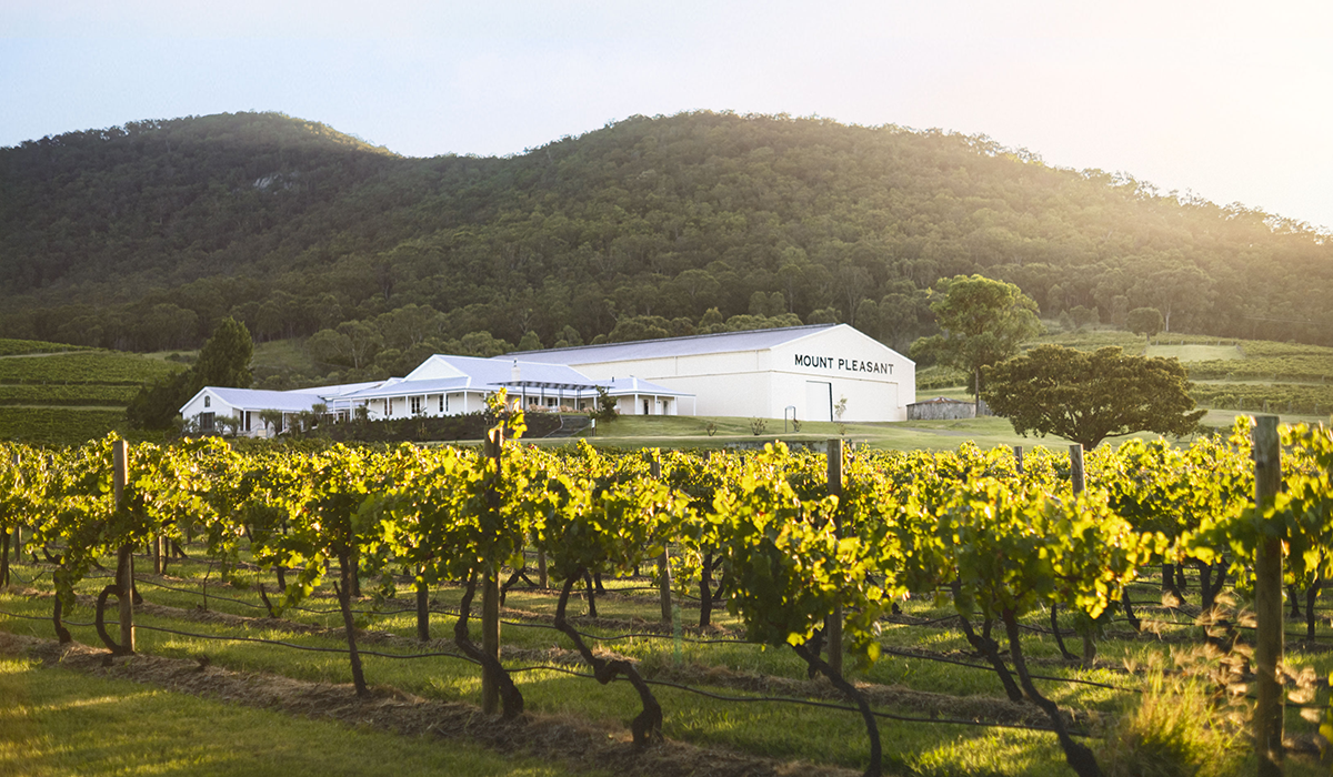 The Mount Pleasant homestead with the vineyards in the front