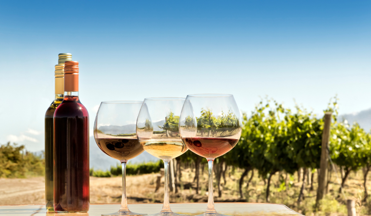 Wine bottles and glasses of wine in front of a vineyard on a hot summer's day