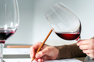 Red wine tasting