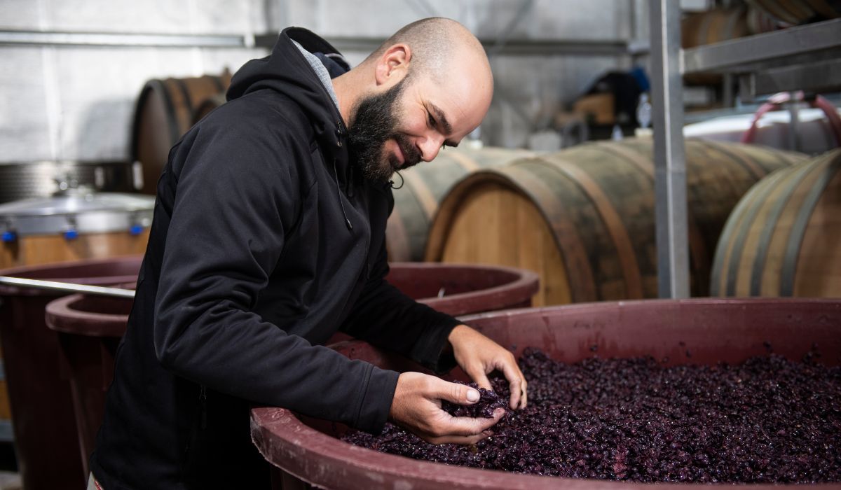 Sigurd winemaker Dan Piwko-Graham