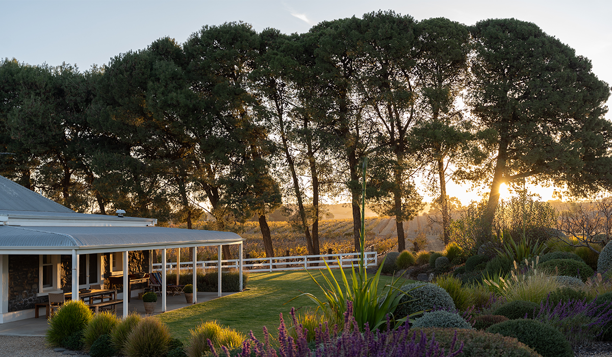 Alkina cellar door