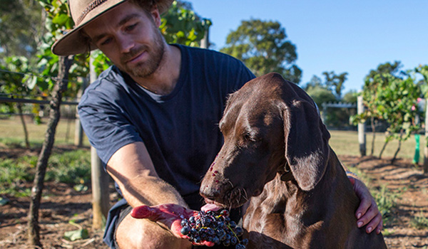 Winemaker Angus Vinden