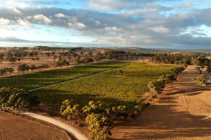 Barossa 2021 wines 0 Henschke