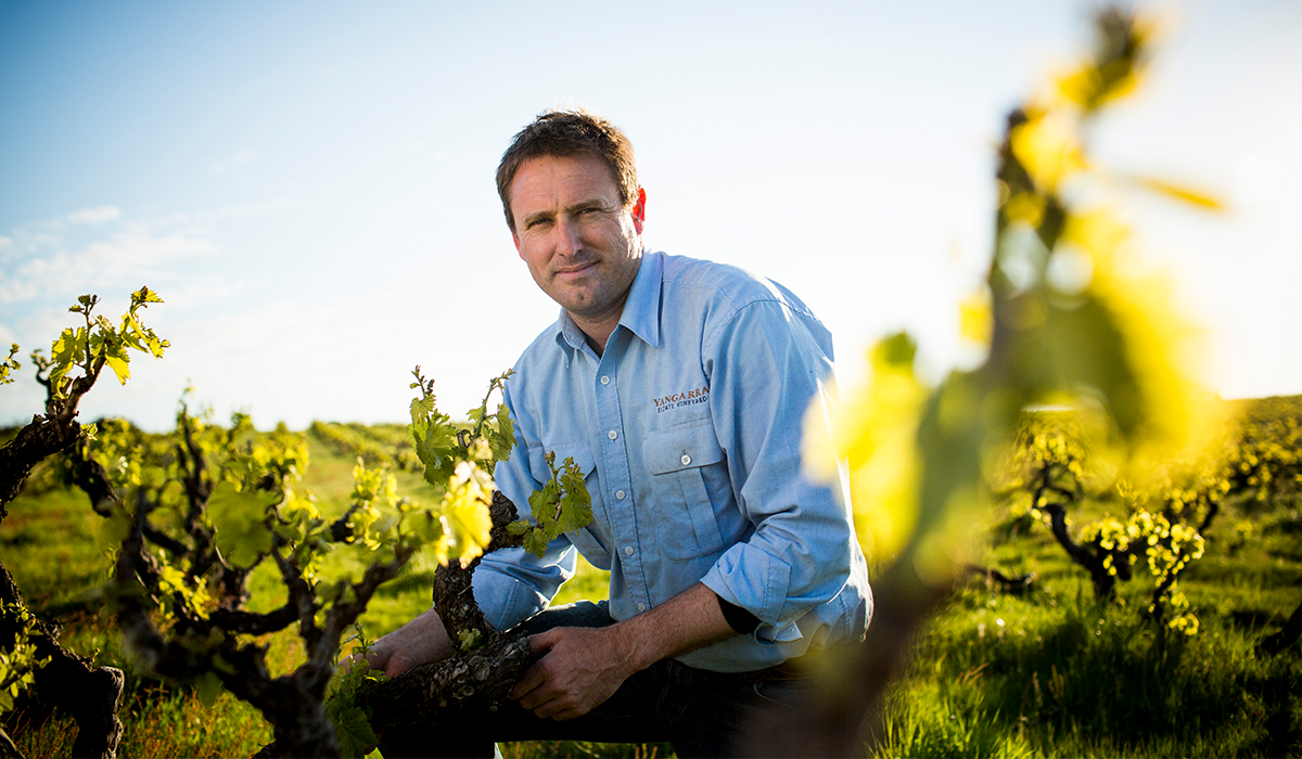 Peter Fraser in vineyard