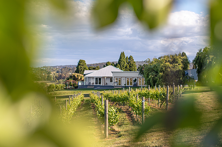 Bellebonne and Evenfall Wines cellar door
