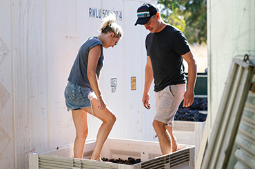 Selina and Andre crushing grapes