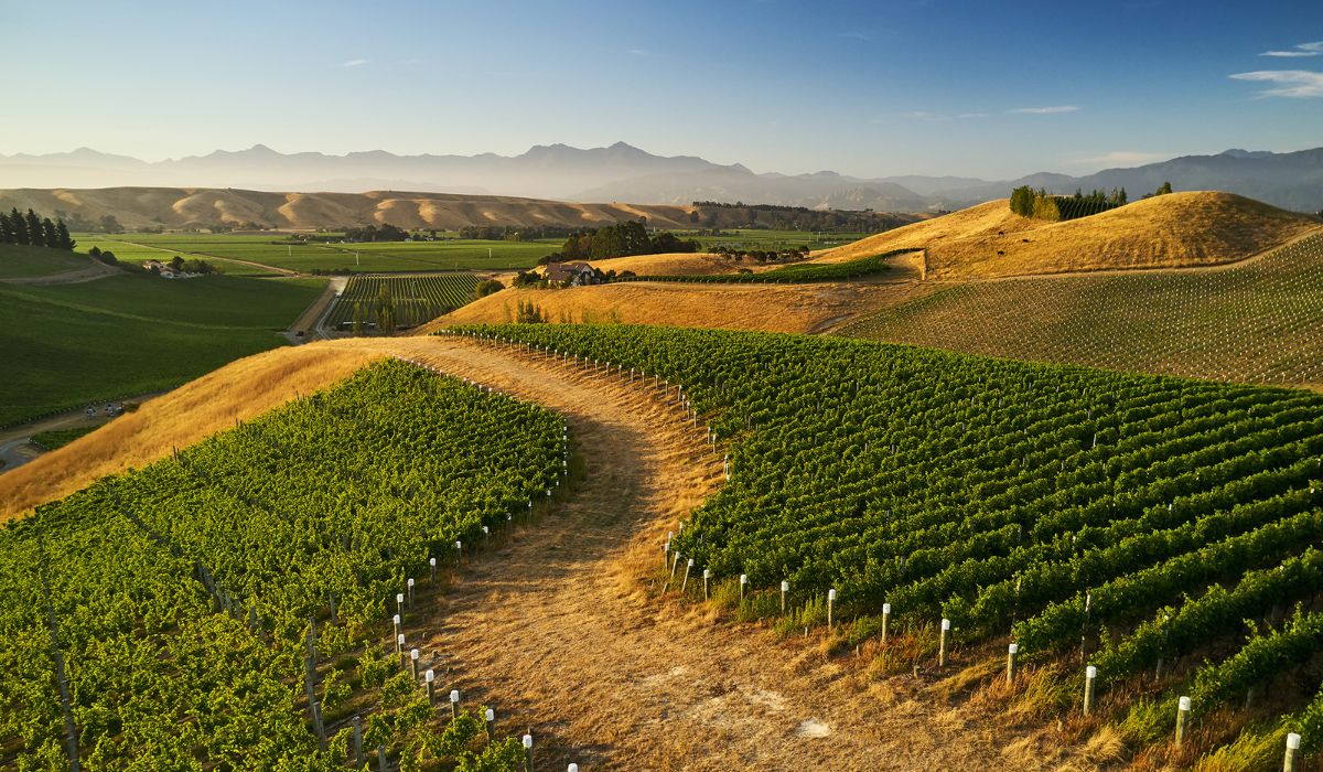 This week's latest news in wine spirits and beer