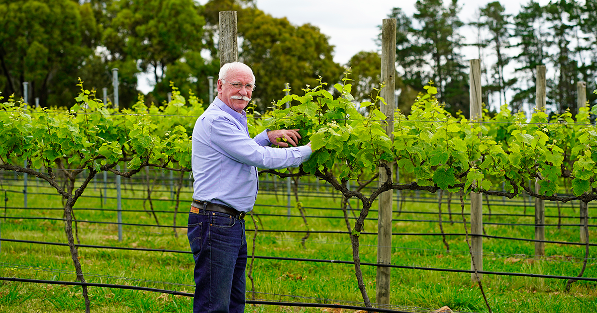 Australian cabernet sauvignon