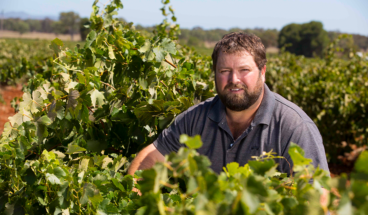 Adrian Hoffmann in the vineyard wearing a grey polo